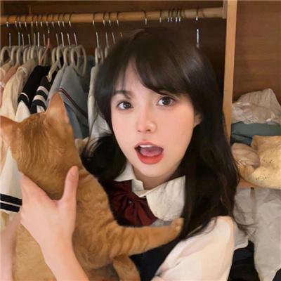 侠岚